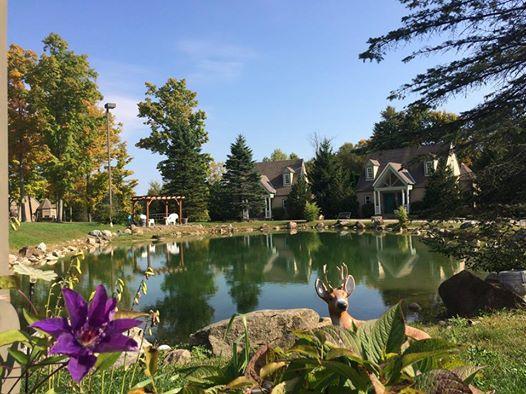 Spruce Hill Inn & Cottages Mansfield Ngoại thất bức ảnh